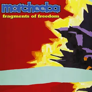 Fragments of freedom